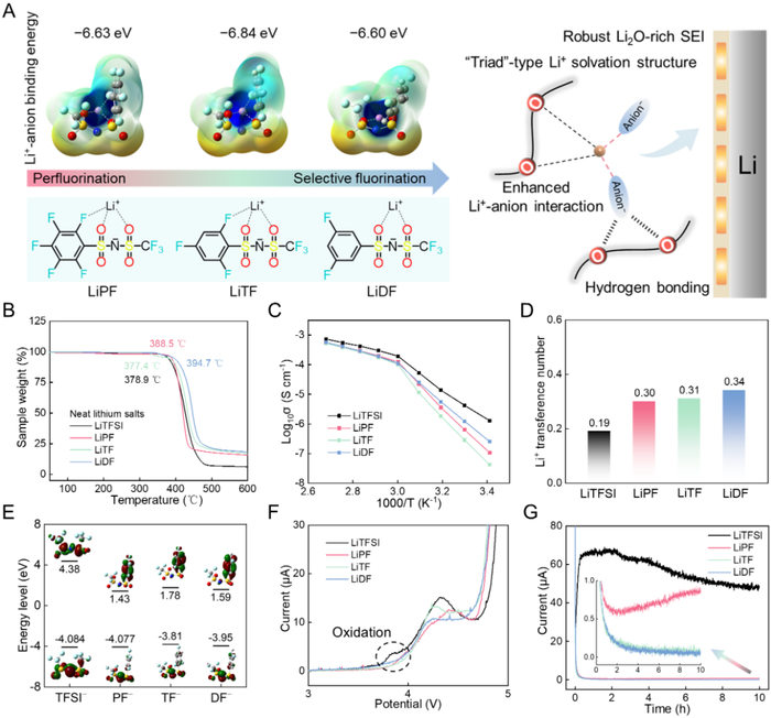 图1 选择性氟化锂盐的设计准则和聚合物电解质的基本性质