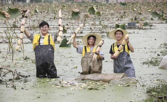 图源：视觉中国