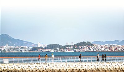 福建省厦门市环东浪漫线海上丁坝，市民游客沿着海岸线漫步观光。林铭鸿 摄