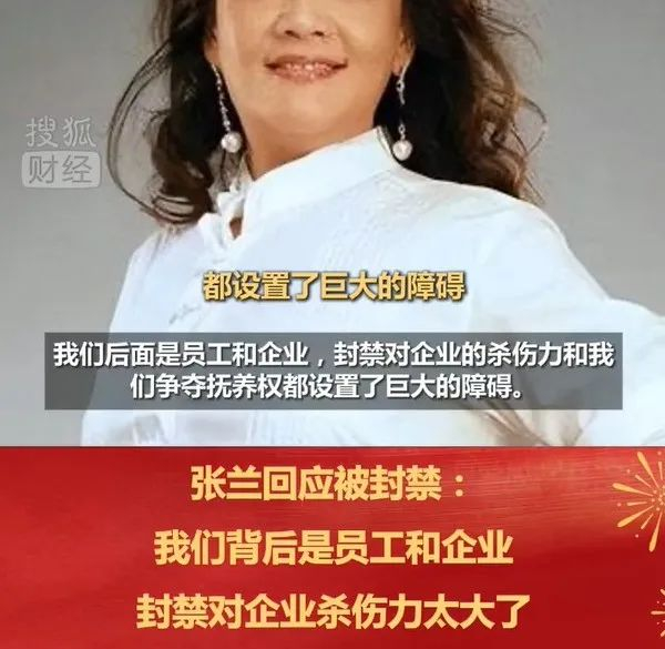 图源：搜狐财经