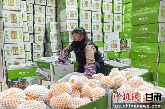 图为工作人员分拣、称重、打包人参果。王菊虹 摄