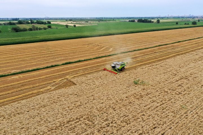   在新疆昌吉回族自治州奇台县西北湾镇，农户在田间收获小麦（2024年7月9日摄，无人机照片）。新华社记者 丁磊 摄