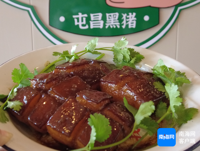 屯昌黑猪。通讯员 林小丹 摄