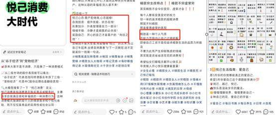 图：悦己消费部分社媒内容，来源：小红书