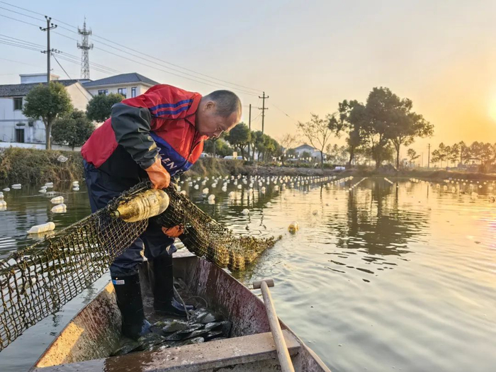 何立新正在从自家蚌塘的网笼中取蚌/南风窗记者 祖晓谦 摄