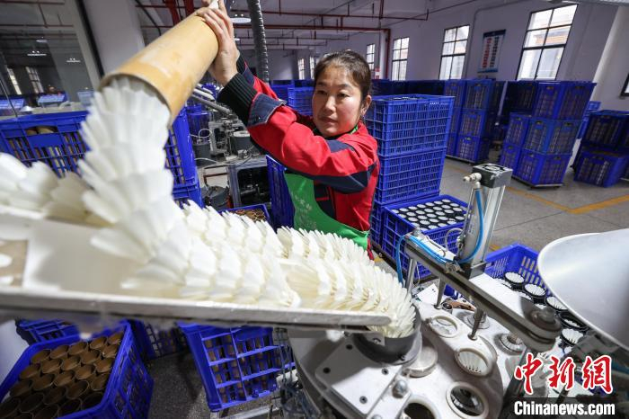 图为工人在加工羽毛球。中新社记者 瞿宏伦 摄