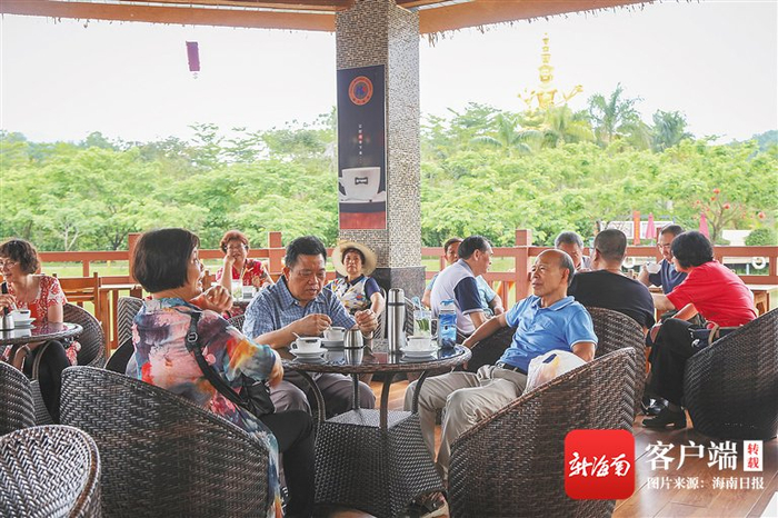 　　资料图：市民游客在兴隆咖啡谷喝咖啡。