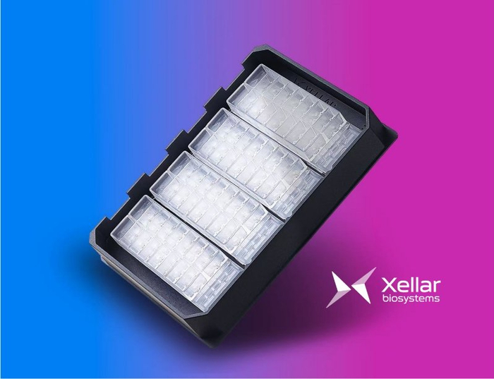 器官芯片产品示意（图源：耀速科技）