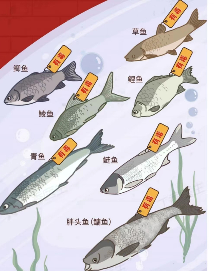 图源：浙大一院