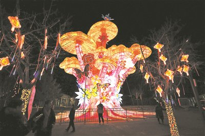 北京世园公园里，游客随处可以“邂逅”漂亮的花灯 摄影/北京青年报记者 袁艺 