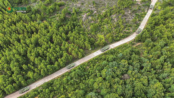 　　官兵开展道路驾驶训练。解放军报特约通讯员  张  毛摄