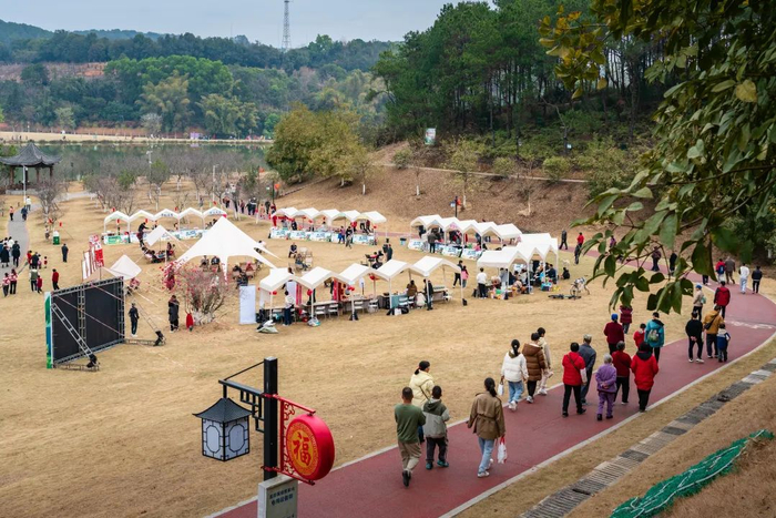 新春期间，郁南大王山国家森林公园吸引众多市民游客前来游玩。（李洪标 摄）