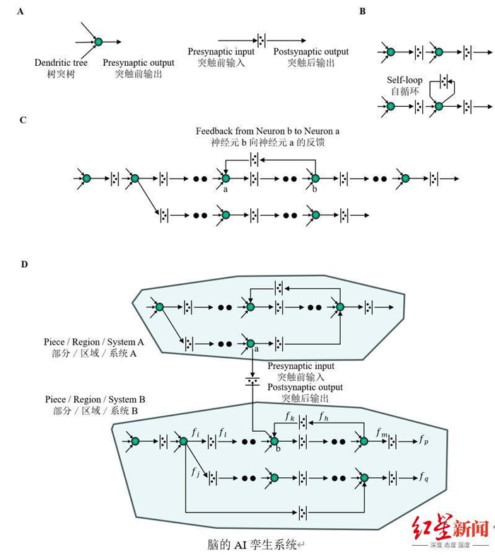 脑的AI孪生系统