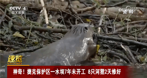 图片来源于网络