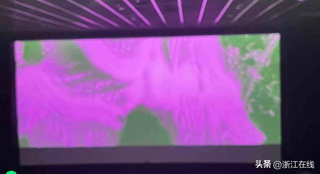 电影画面最后变成了紫绿色 受访者供图