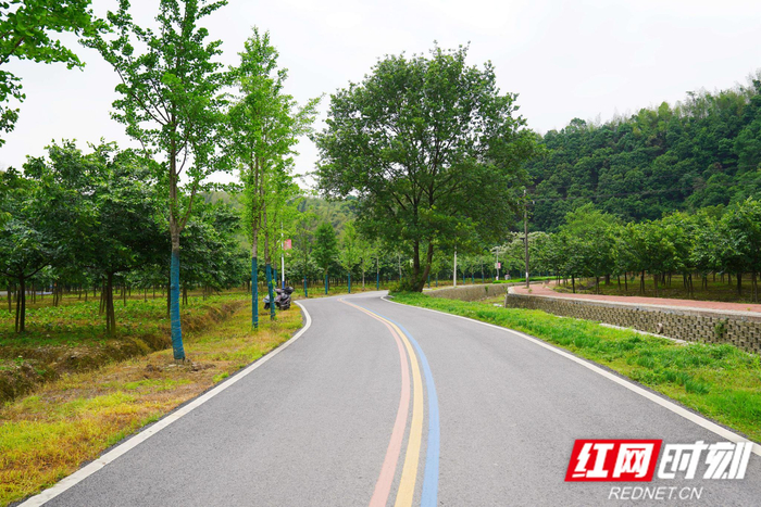 景区内道路严整。