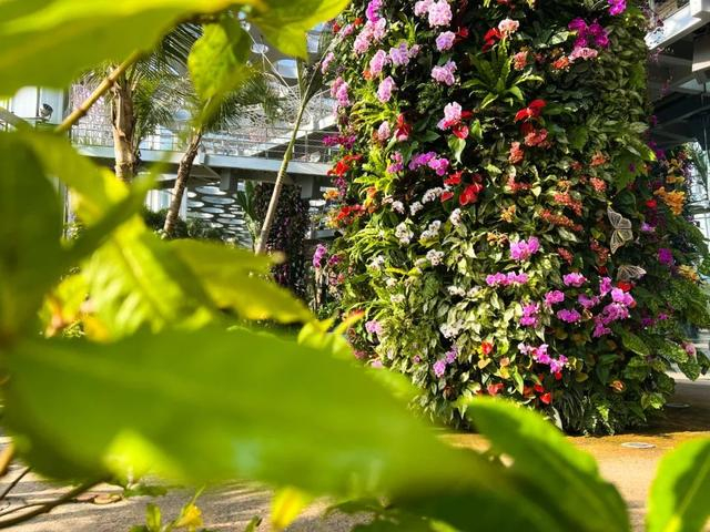 图：“上海世博文化公园”官微