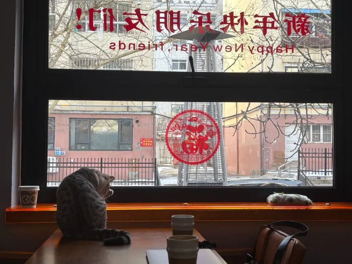 李晚义经常在咖啡厅和小猫一起发呆。图 / 每日人物摄