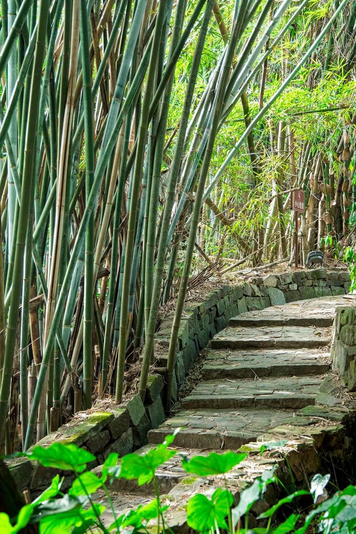 东兴市竹山村风光