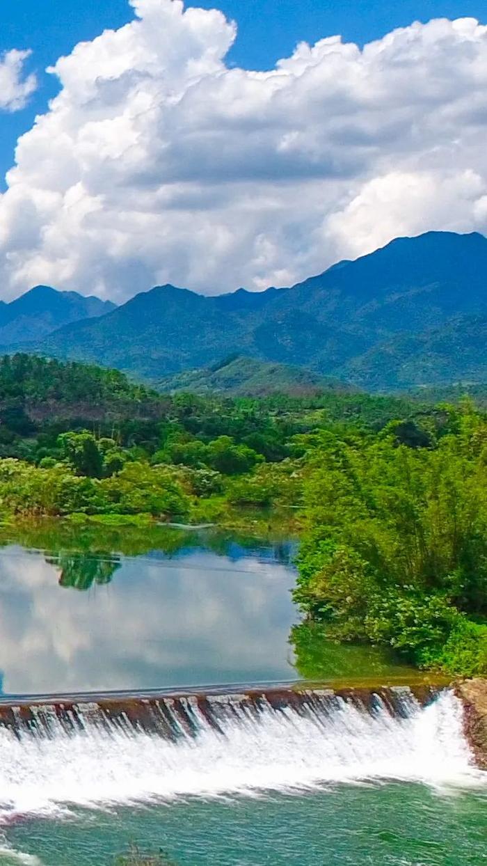 溪流两岸常常遍布竹子