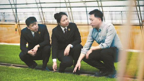 　　　二〇二四年四月，吉林市检察院检察官在永吉县高标准农田基地了解水稻育苗情况。　缴景兮摄