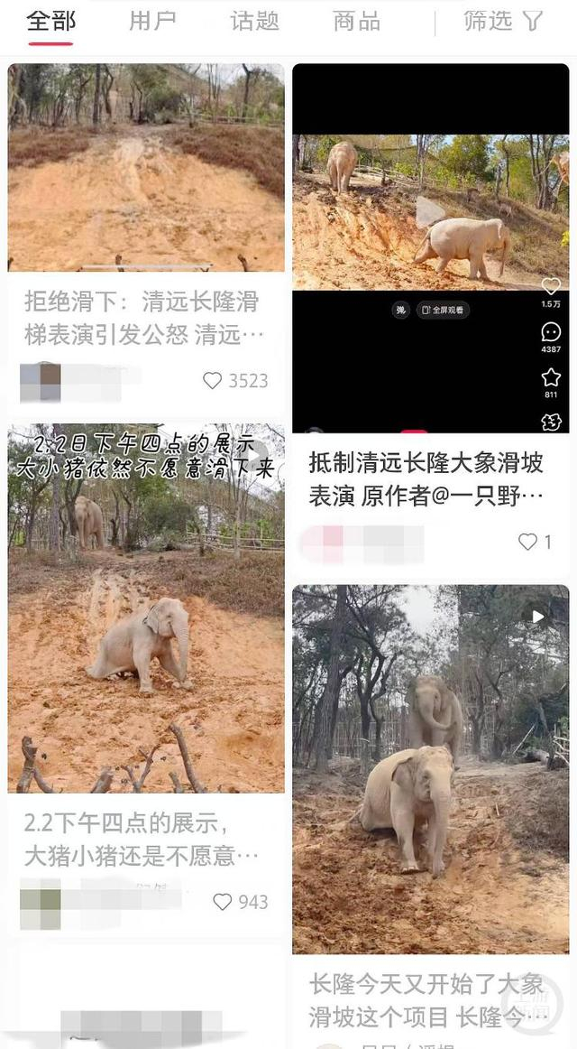 大象“滑滑梯”引起网民批评。/网络图