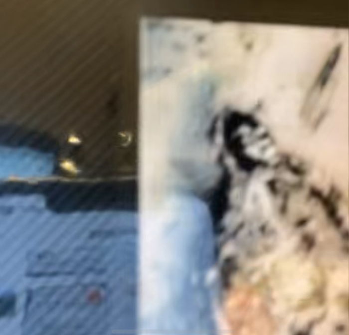 马库斯向潮新闻记者展示其中一张图片。视频连线截图