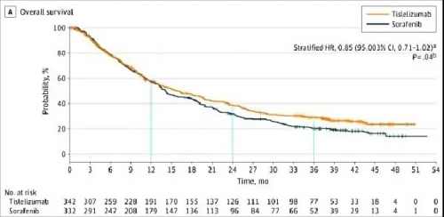 △ Claudin蛋白结构。