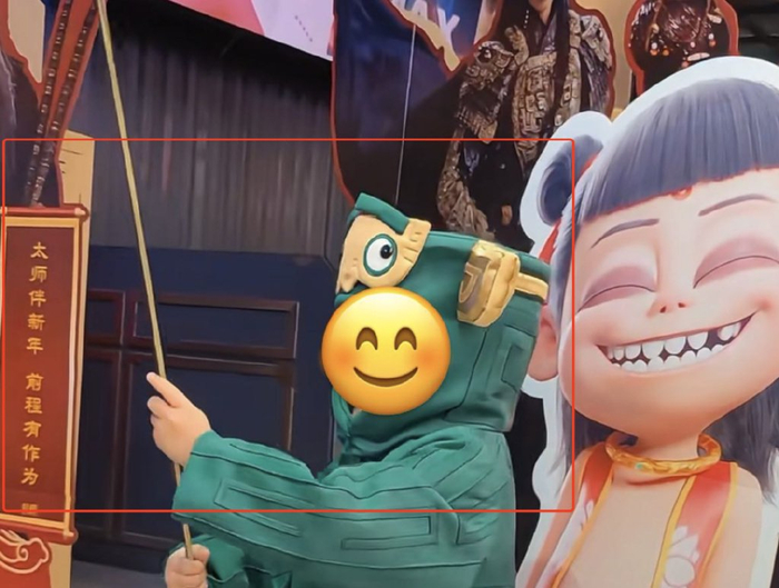 图/小红书用户@肉圆子不加肉