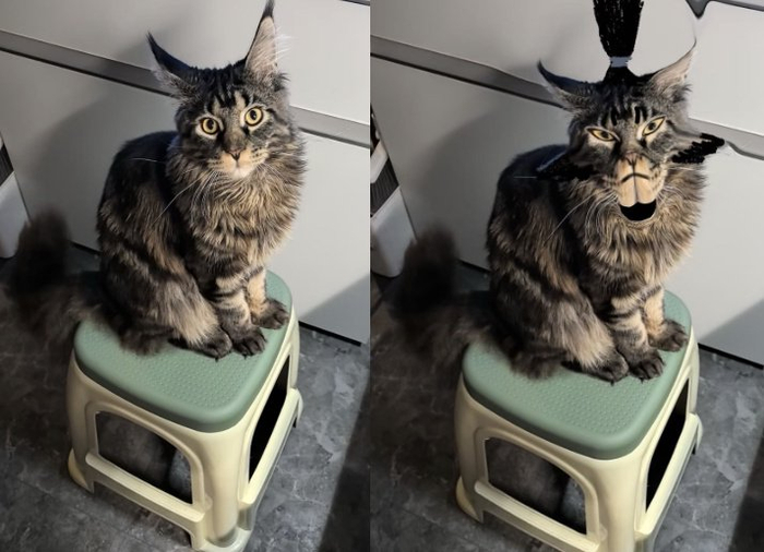 家长早起给开学第一天的孩子扎上哪吒头。