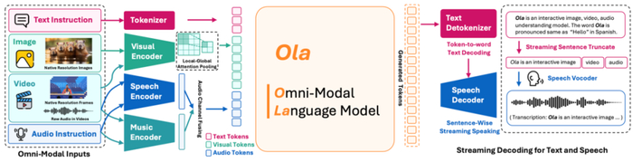 图 3：Ola 模型结构图