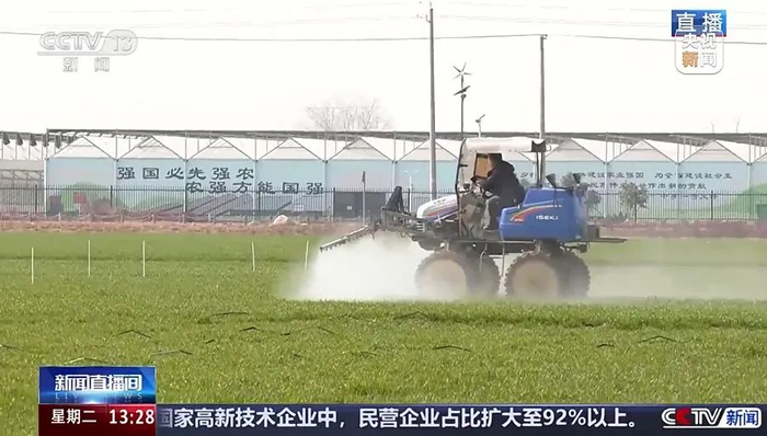 阜南县苗集镇田管现场