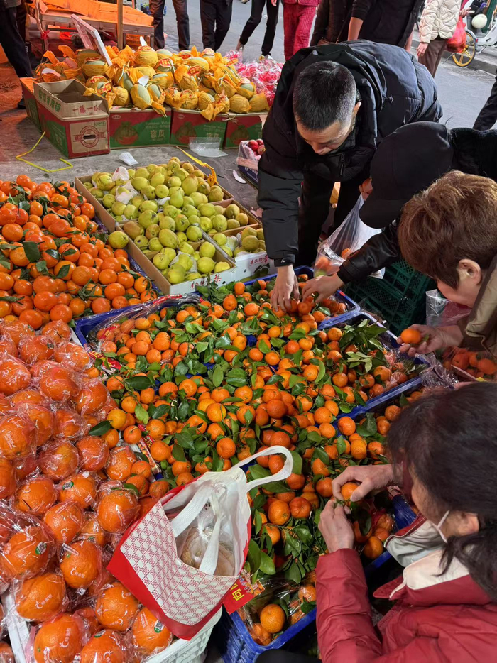 市民在挑选6元一斤的砂糖橘。陈佳 摄