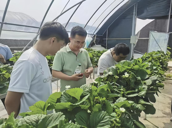马瑞（中）组织大学生村党支部书记及后备干部观摩学习产业发展情况。本人供图