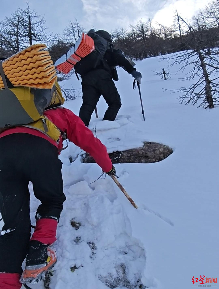 ▲“秦岭牛马队”在救援途中