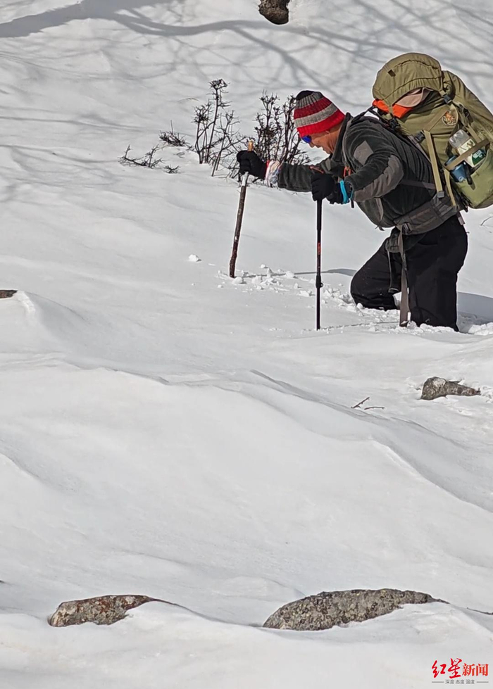 ▲“秦岭牛马队”在救援途中