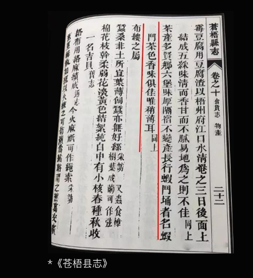▲《苍梧县志》记载六堡茶