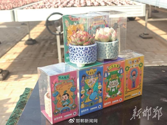 成语多肉文创产品