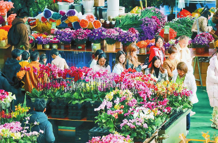 斗南花卉市场人流如织。