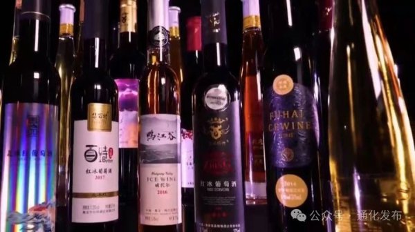 （来源：通化发布）