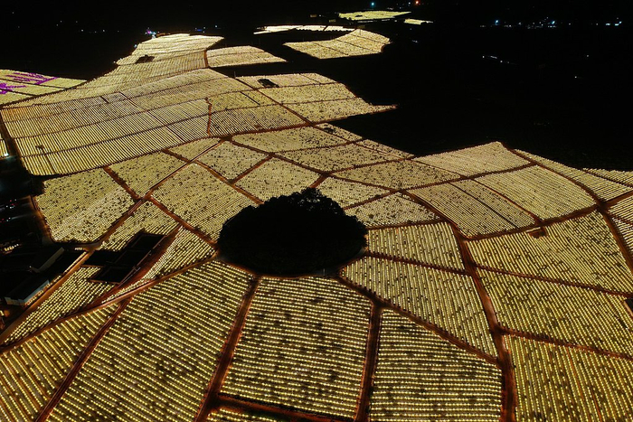 图源：视觉中国