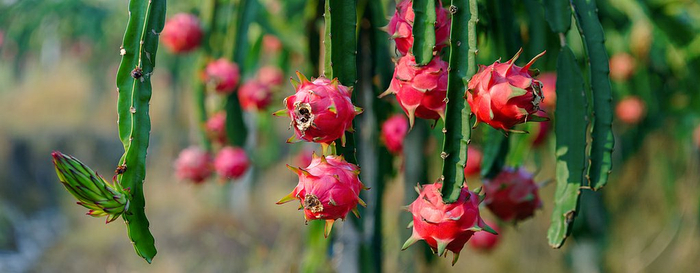 图源：视觉中国