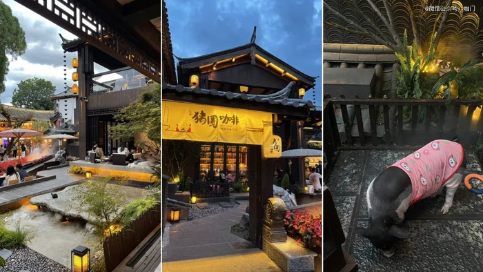 图源小红书博主@八九不离食 已获授权