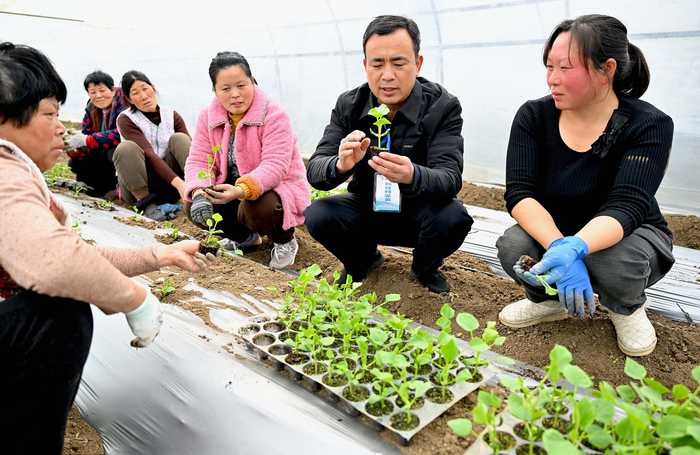 安徽亳州：科技特派员开展春耕服务