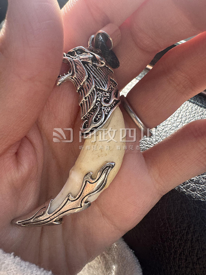 狼狗牙齿被冒充狼牙销售。图片来源： 问政四川