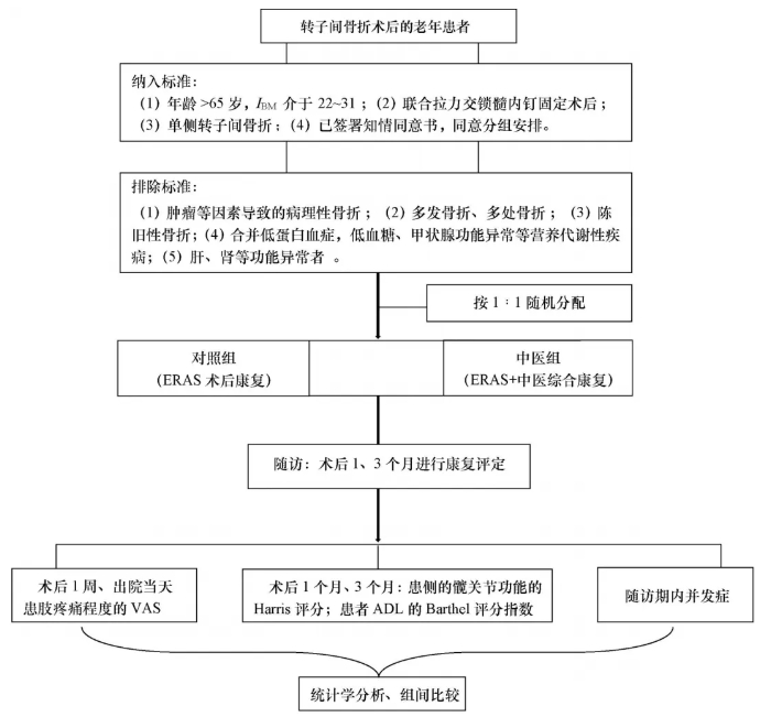 图1 本研究纳入、分组、干预、指标比较的流程图