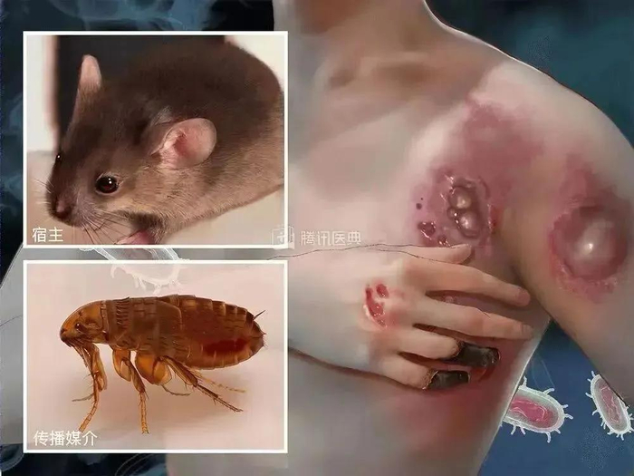 △图片来源：国家应急广播