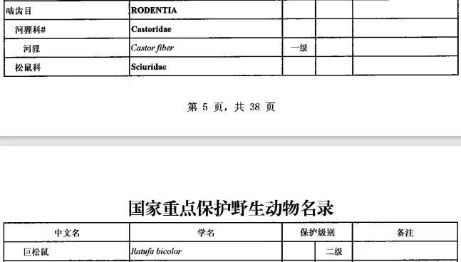 △2021年新调整的《国家重点野生动物保护名录》中没有旱獭