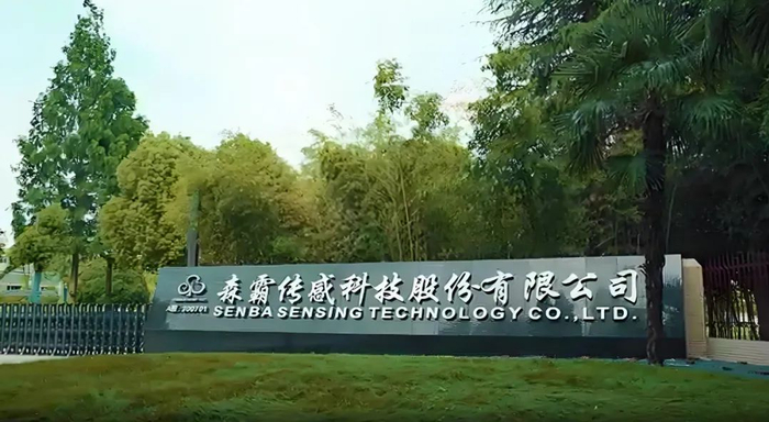 图&nbsp;/&nbsp;森霸传感公司官网