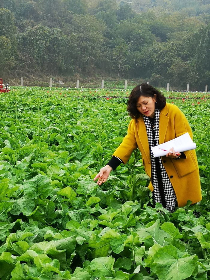 李浩杰。受访者供图